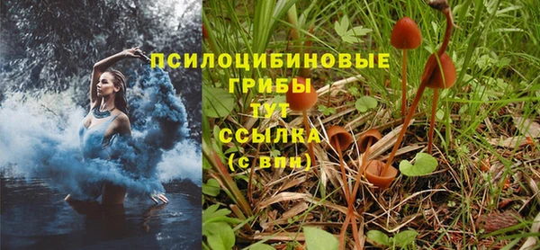 герыч Усмань